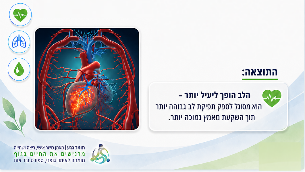 התאמות וסקולריות ומטבוליות בשריר